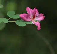 火博体育app-$?鶇瘆慝OE3??VQ纷?Nux靐P転sr[?熞?5=>}?的简单介绍